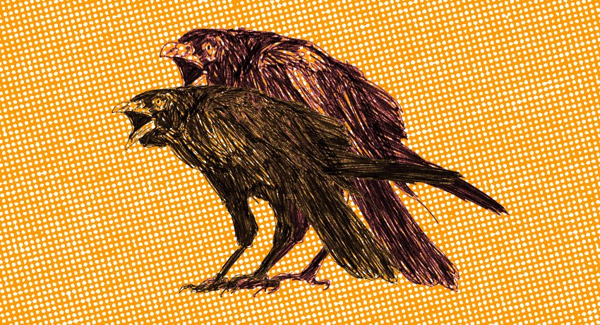 Ilustração de Lia Ferreira