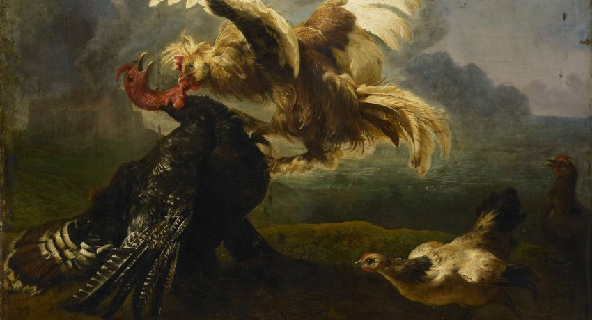 Fighting Birds_Date-1655_Institution-Rijksmuseum_Public Domain_atUnsplash