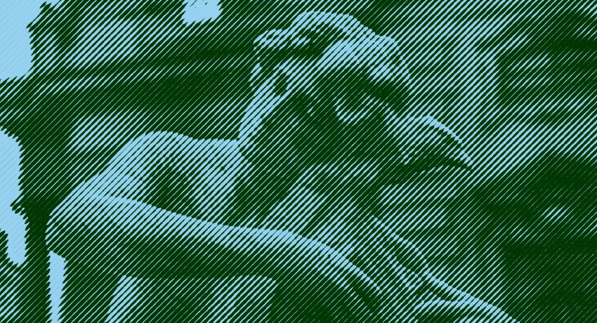 Fotografia-de-Raphael-Brasileiro_para-Pexels-5