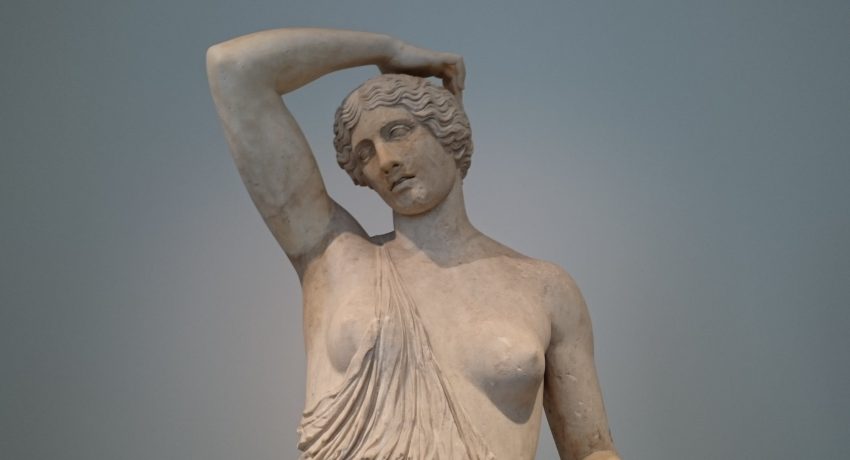 Fotografia_de_HasenChat_na_Pexels