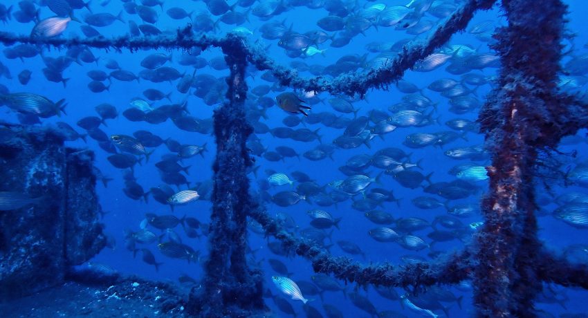 Fotografia de Gonçalo Calado, Madeira, 2021