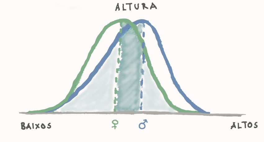 Normal, de Joana Sá